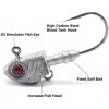 Lead Fish Jig Head Hook Fishing Jigging Stainless Steel Fishhook 3D Eyes Pike Bass Fishing Tackle